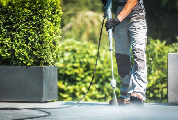 Best Roof Washing  in Cove Creek, NC